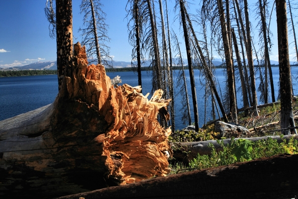Amerika, Landschappen, natuur