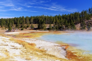 Yellowstone Park