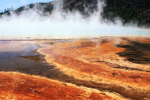 Yellowstone Park