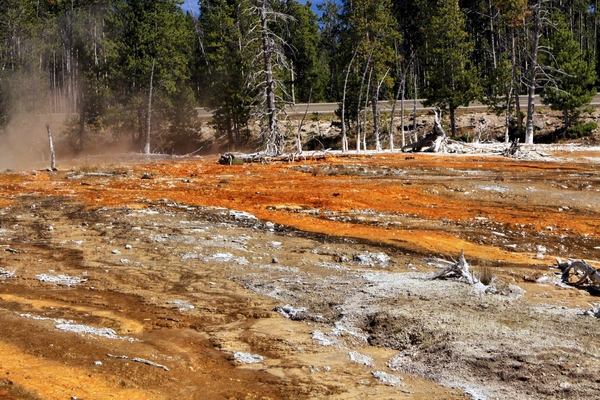 Amerika, Landschappen, natuur