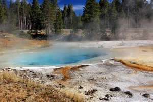 Yellowstone Park