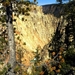 Yellowstone Park