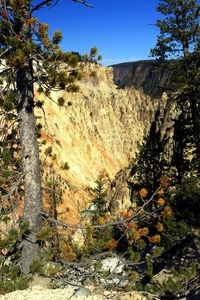 Yellowstone Park