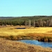 Yellowstone Park