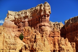 Bryce Canyon