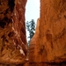 Bryce Canyon