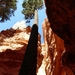 Bryce Canyon