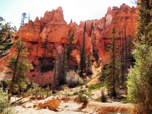 Bryce Canyon