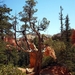 Bryce Canyon