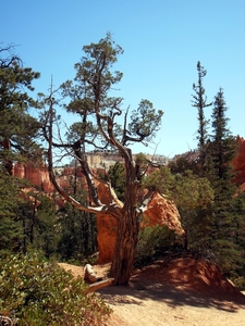 Bryce Canyon