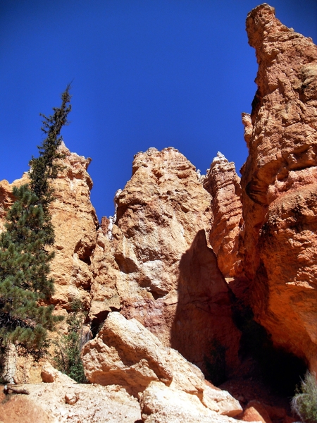 Amerika, Landschappen, natuur