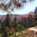 Bryce Canyon