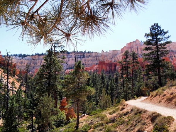 Amerika, Landschappen, natuur