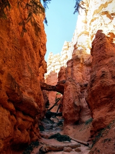 Bryce Canyon