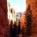 Bryce Canyon