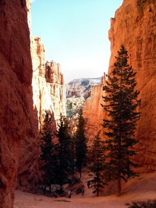 Bryce Canyon