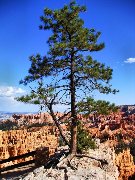 Amerika, Landschappen, natuur