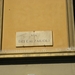 DSCN0289