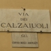 DSCN0290