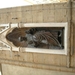 DSCN0302