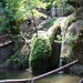 vlinderkloof 1