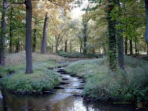 Delden twickel
