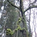 DSC00120