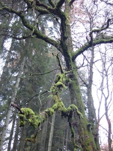 DSC00120