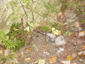 DSC00131