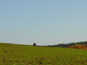 DSC00139