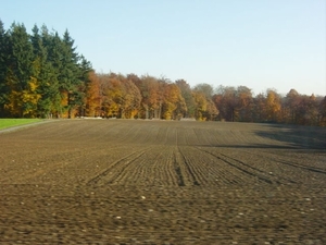 DSC00158