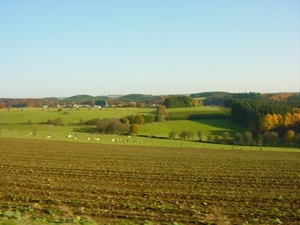 DSC00160