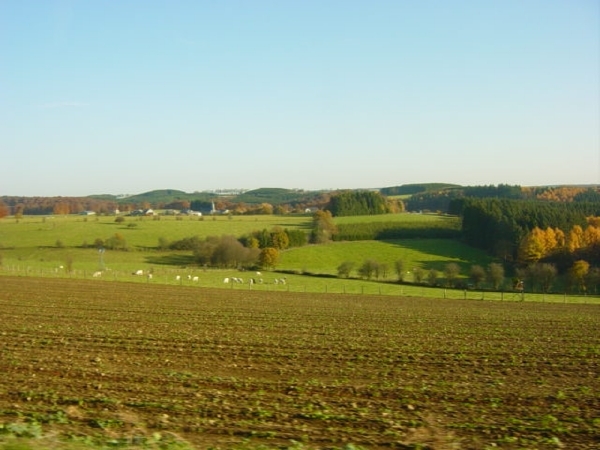 DSC00160