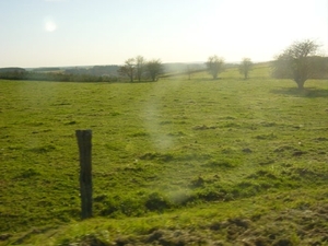DSC00161