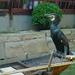 Hangshou