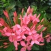 sized_IMG_0702