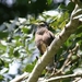 sized_IMG_7206