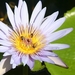 sized_IMG_7221