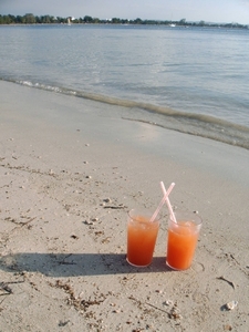 beach2  proost