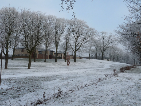 winter,sneeuw,vorst