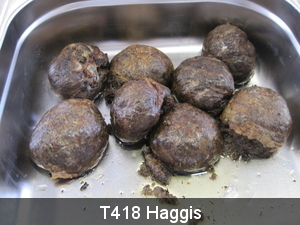 418 Haggis