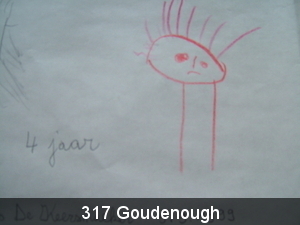 317 Goudenough