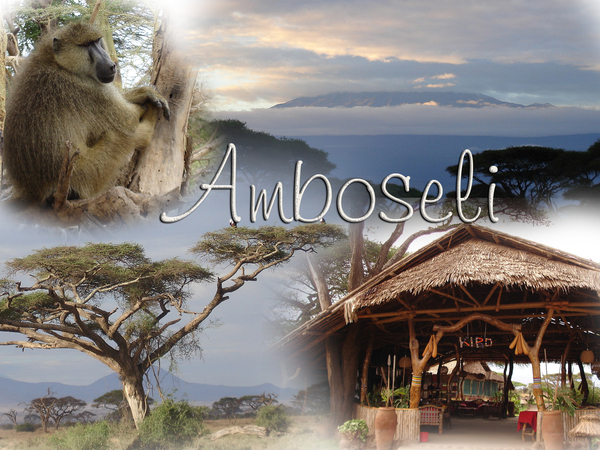 Amboseli Titel