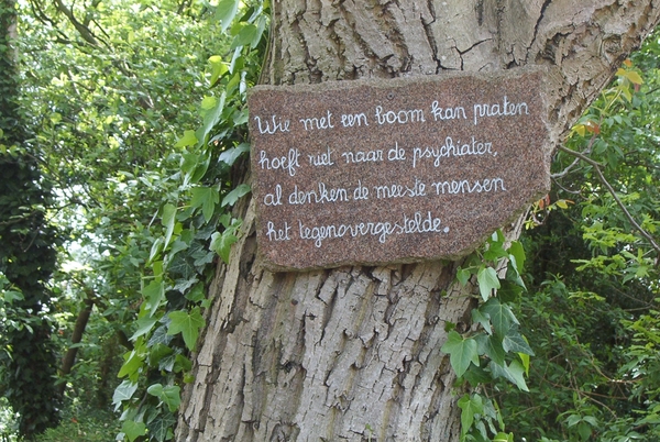 Kopie van aa-beelden Meerhout 6-05-2004 0&