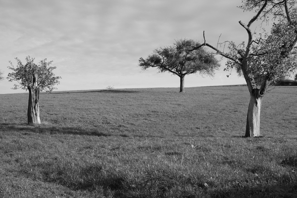 op hetzelfde stukje en toch zo divers