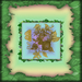 Blad en fruit