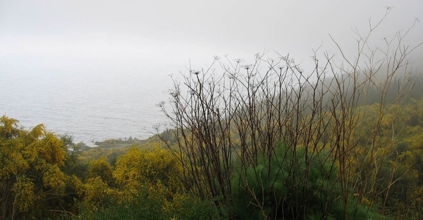 zc Finistera 273