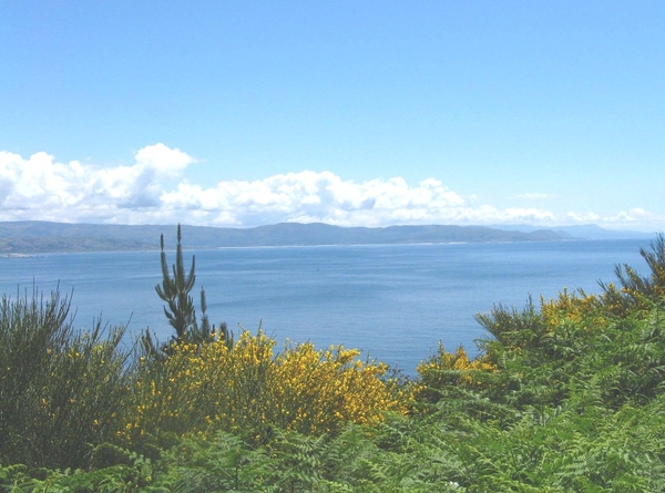 zc Finistera 2008 256