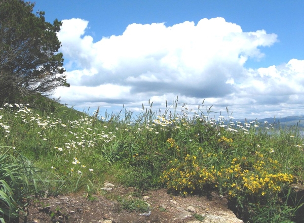 zc Finistera 2008 267