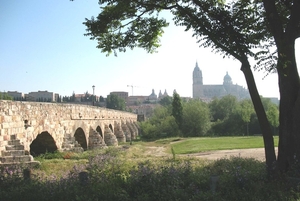 Salamanca 3 217